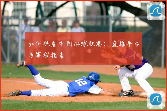 如何观看中国排球联赛：直播平台与赛程指南