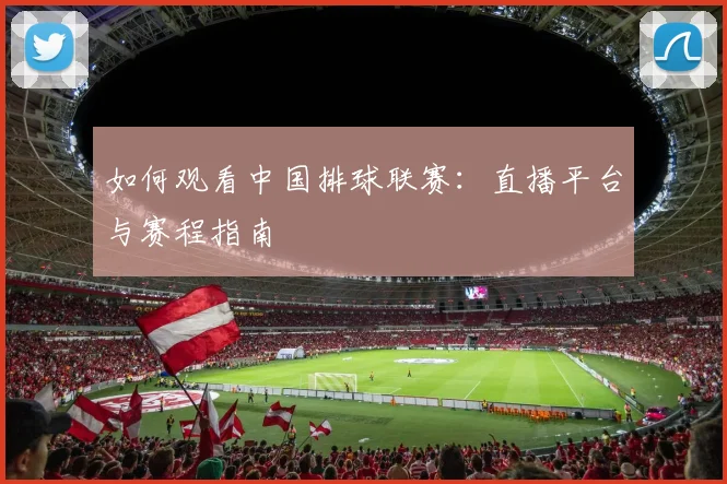如何观看中国排球联赛：直播平台与赛程指南