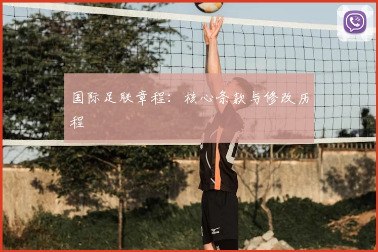 国际足联章程：核心条款与修改历程